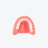 Tooth Extraction Model