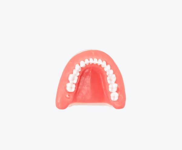 Tooth Extraction Model