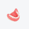 Tooth Extraction Model