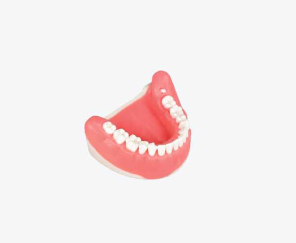 Tooth Extraction Model