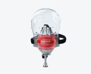 Dental Head Model Simulator Phantom Dentist Teaching