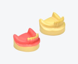 Lower jaw implant training model