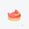 产品图片 11A Lower jaw implant training model