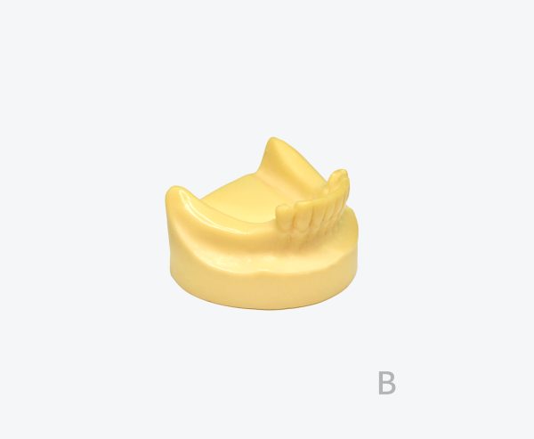 产品图片 11B Lower jaw implant training model