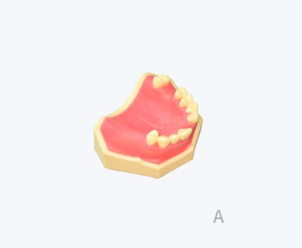 产品图片 14A Upper jaw implant training model