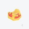 产品图片 14C Upper jaw implant training model