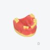 产品图片 14D Upper jaw implant training model