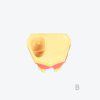 产品图片 15B- Upper jaw sinus implant training dental model