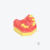 产品图片 15B Upper jaw sinus implant training dental model