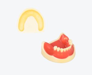产品图片 17 Lower jaw implant training model