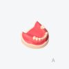 产品图片 17A Lower jaw implant training model