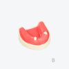 产品图片 17B Lower jaw implant training model