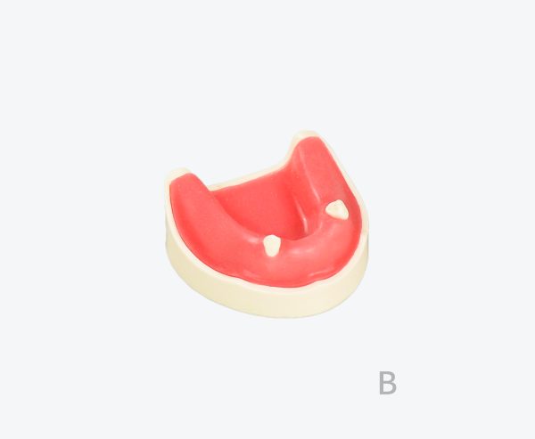 产品图片 17B Lower jaw implant training model