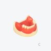 产品图片 17C Lower jaw implant training model