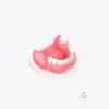产品图片 17F Lower jaw implant training model