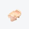 Maxillary sinus implantation without gum - biomimetic model