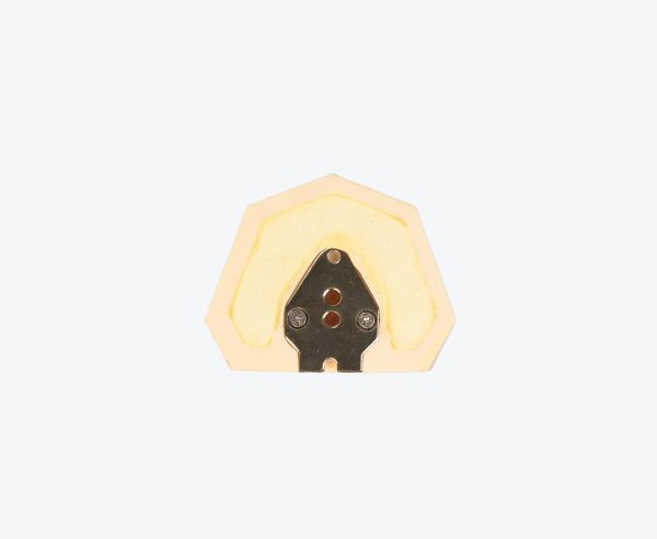 产品图片 18A Upper jaw implant training model