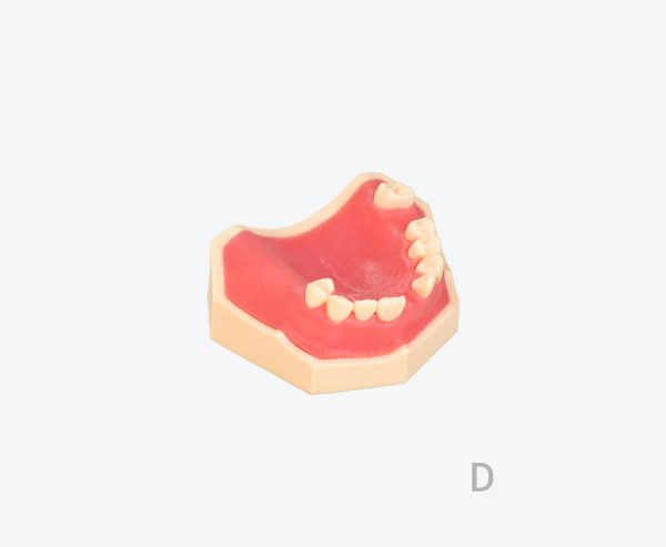 产品图片 18D Upper jaw implant training model