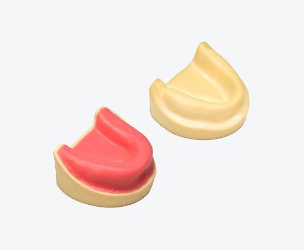 产品图片 19 Implant Maxillary edentate model