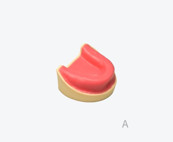 产品图片 19A Implant Maxillary edentate model
