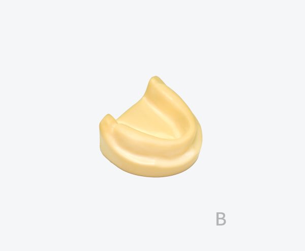 产品图片 19B Implant Maxillary edentate model