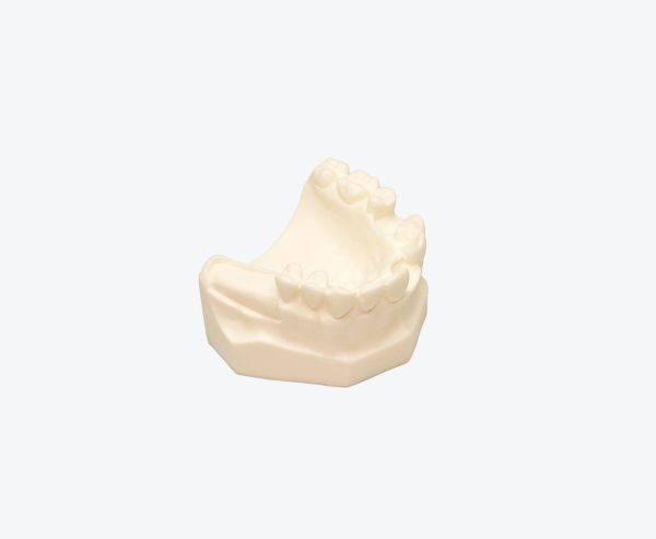 Upper jaw implant foam-like biomimetic model