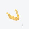 产品图片 2B Dental Mandible Practice model