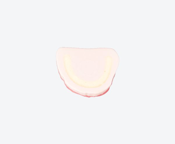 dentureless jaw practice model