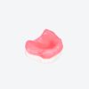 dentureless jaw practice model