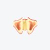 Lower jaw edentulous jaw implant training dental model