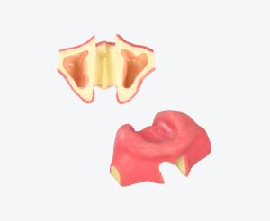 产品图片 5 Lower jaw edentulous jaw implant training dental model