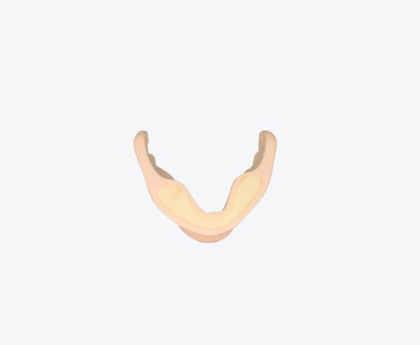 产品图片 51-1 Dental Mandible Implant Jaw Bone Model