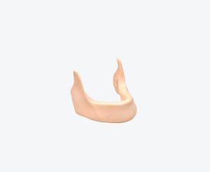产品图片 51 Dental Mandible Implant Jaw Bone Model