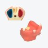 产品图片 54- Maxillary sinus defect model