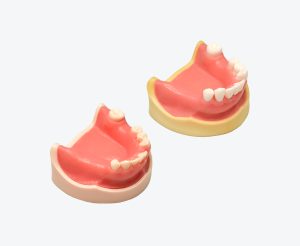 产品图片 7 Lower jaw implant training model