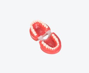 tooth preparation models