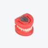 tooth preparation models