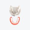 dental implant display models