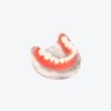 dental implant display models