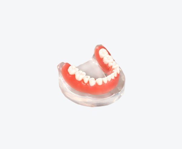 dental implant display models