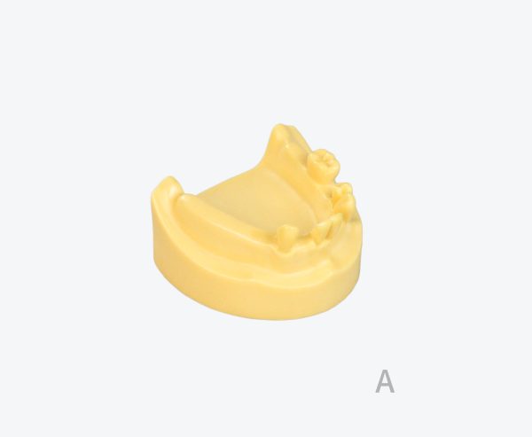 产品图片 9A Lower jaw implant training model