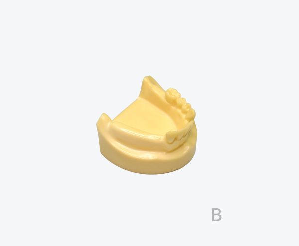 产品图片 9B Lower jaw implant training model