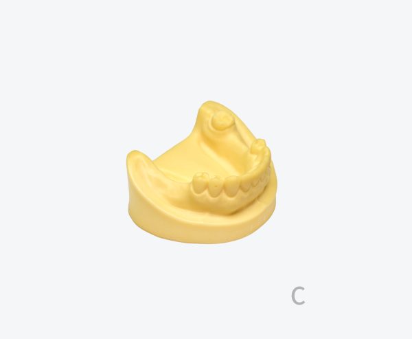 产品图片 9c Lower jaw implant training model