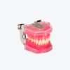 Tooth Extraction Model