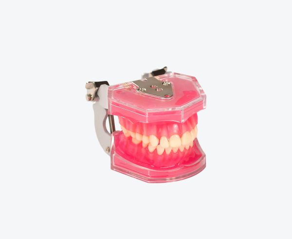 Tooth Extraction Model