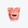 Orthodontics models
