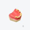 产品图片 13B Upper jaw training model
