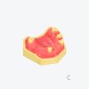 产品图片 13C Upper jaw training model