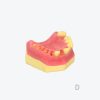 产品图片 13D Upper jaw training model