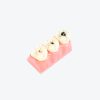 dental caries model